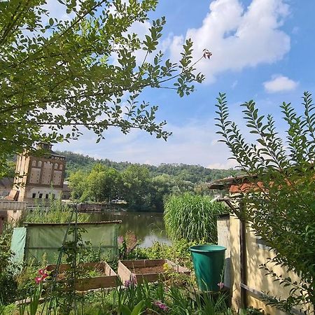 Ferienwohnung Saalemaus Naumburg  Esterno foto