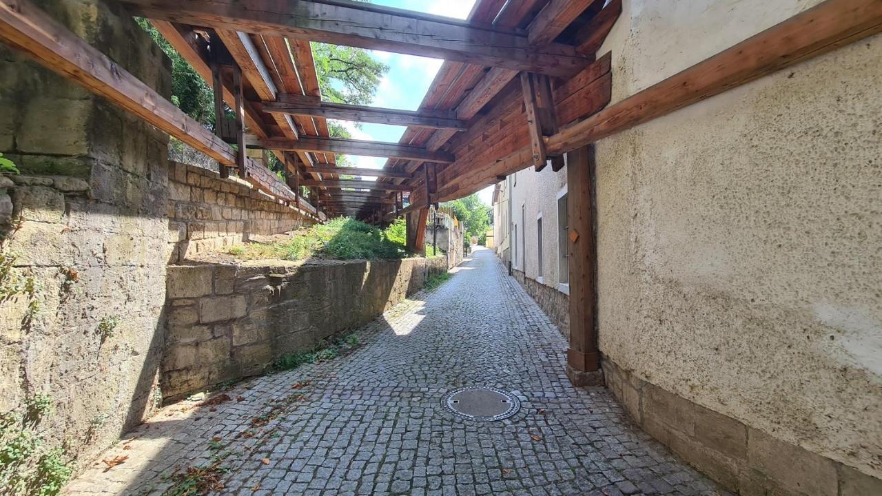 Ferienwohnung Saalemaus Naumburg  Esterno foto